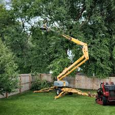 Best Commercial Tree Services  in Clinton, KY